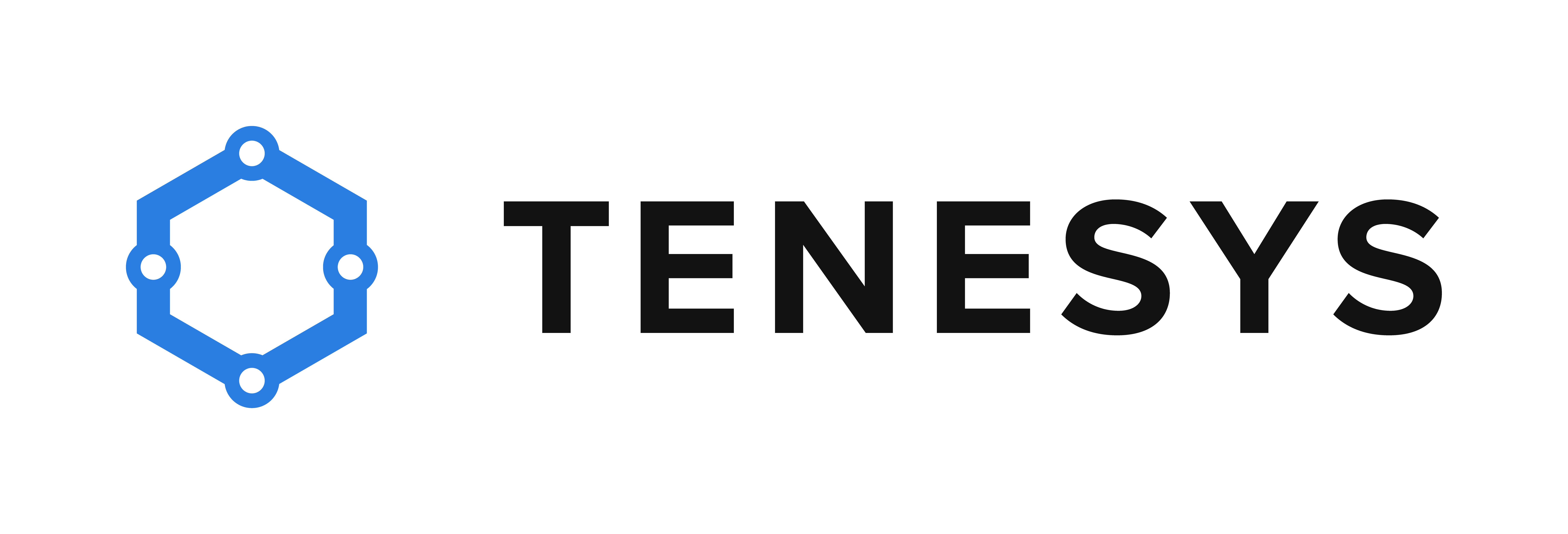 Tenesys logo