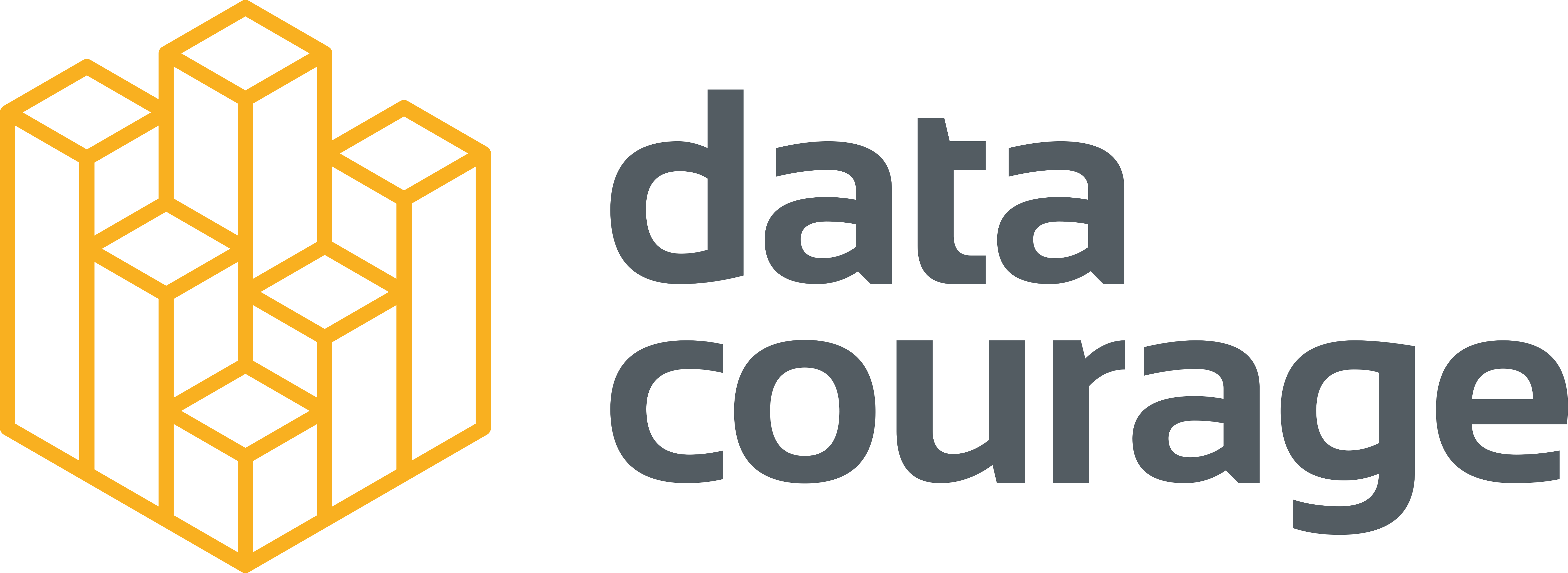 Data Courage logo